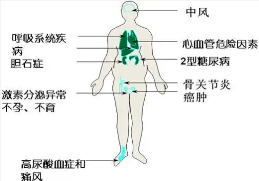 點擊新窗口打開大圖
