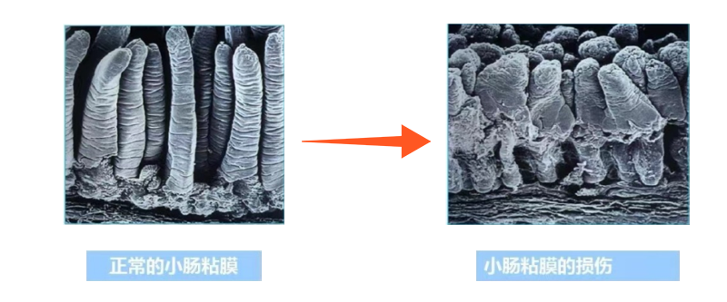 圖片8.png