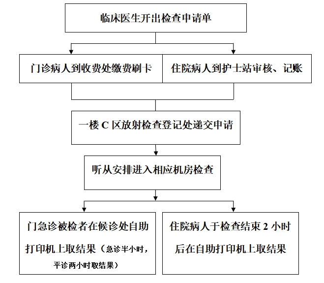 X光.png
